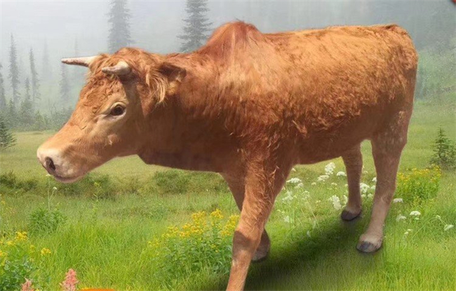 仿真動物廠家 仿真動物廠家